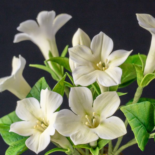 Sugar flower Petunias details 