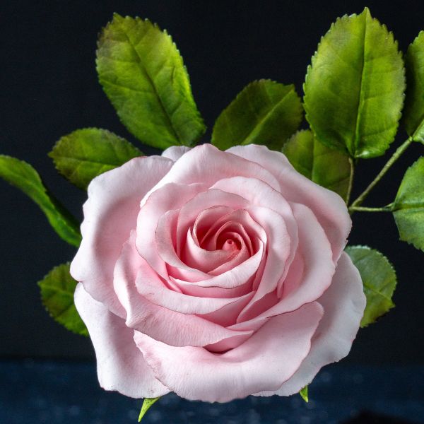 Pink Garden Sugar flower Rose